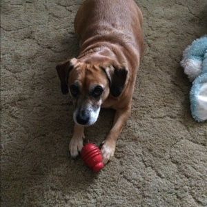 Meet your Posher, Eric